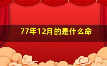 77年12月的是什么命