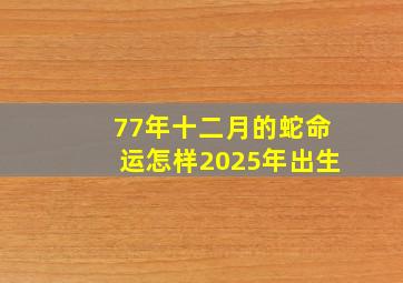 77年十二月的蛇命运怎样2025年出生