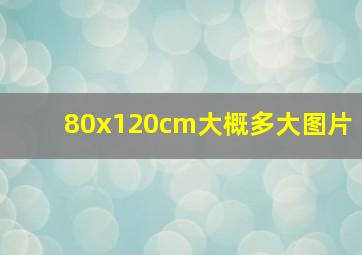 80x120cm大概多大图片