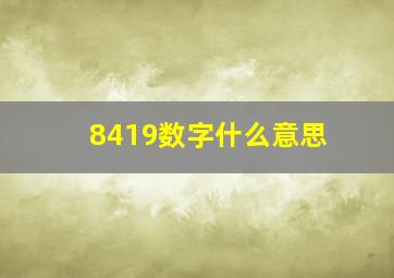 8419数字什么意思