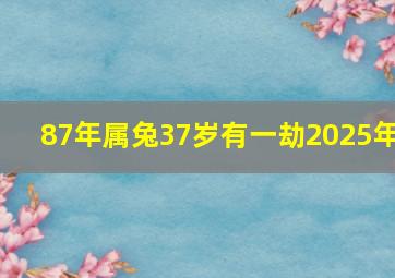 87年属兔37岁有一劫2025年