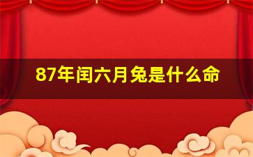 87年闰六月兔是什么命