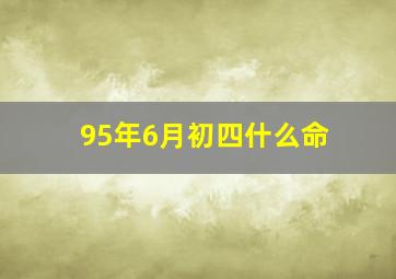 95年6月初四什么命