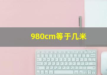 980cm等于几米