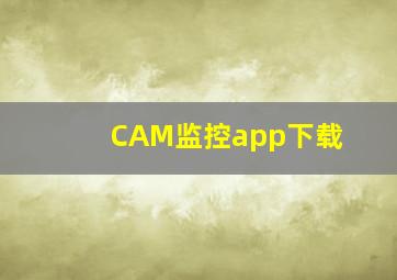 CAM监控app下载