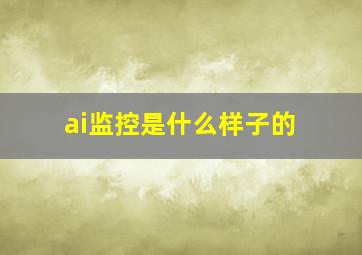 ai监控是什么样子的