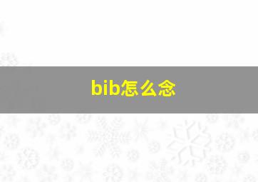 bib怎么念