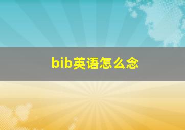 bib英语怎么念