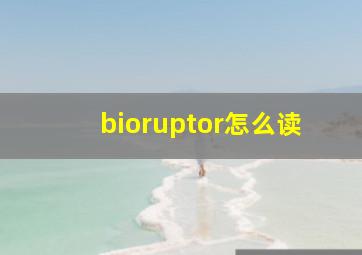 bioruptor怎么读