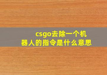 csgo去除一个机器人的指令是什么意思