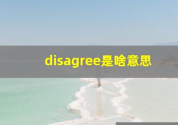 disagree是啥意思