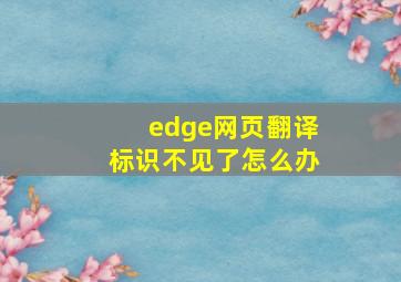 edge网页翻译标识不见了怎么办