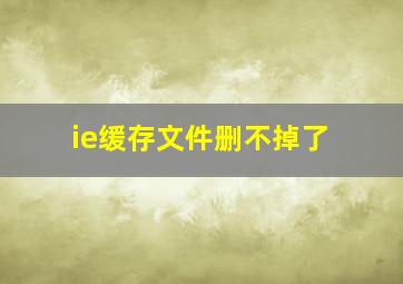 ie缓存文件删不掉了