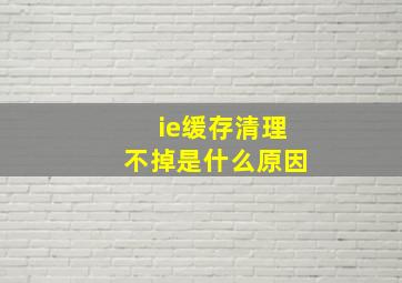 ie缓存清理不掉是什么原因