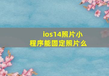 ios14照片小程序能固定照片么