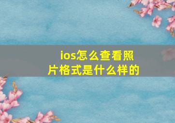 ios怎么查看照片格式是什么样的