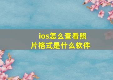 ios怎么查看照片格式是什么软件