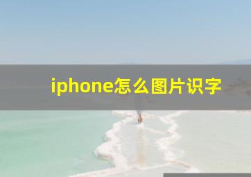 iphone怎么图片识字