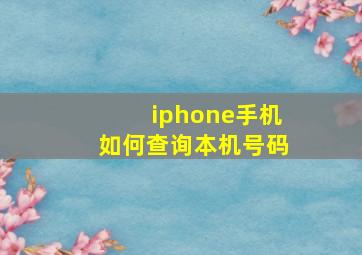 iphone手机如何查询本机号码