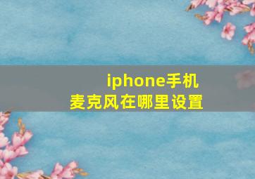 iphone手机麦克风在哪里设置