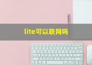 lite可以联网吗