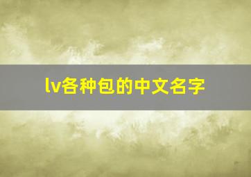 lv各种包的中文名字