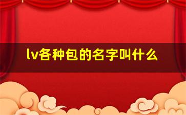 lv各种包的名字叫什么