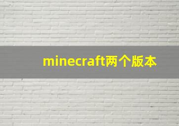 minecraft两个版本