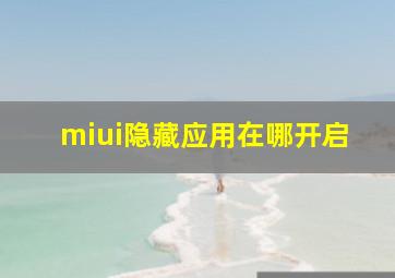 miui隐藏应用在哪开启