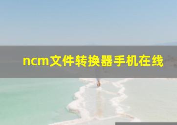 ncm文件转换器手机在线