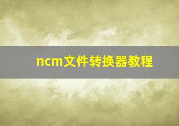 ncm文件转换器教程