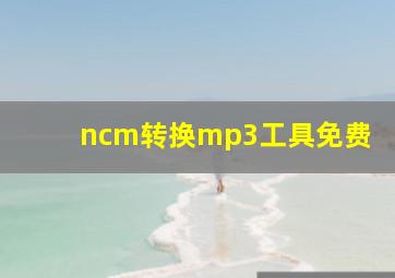 ncm转换mp3工具免费