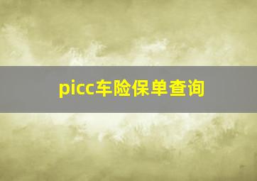 picc车险保单查询