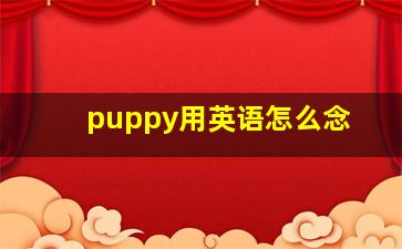 puppy用英语怎么念