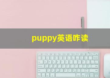 puppy英语咋读