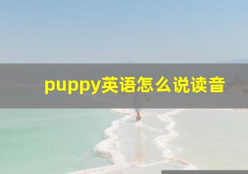 puppy英语怎么说读音