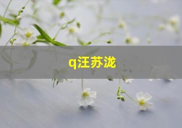 q汪苏泷