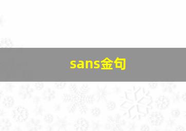 sans金句