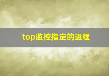 top监控指定的进程