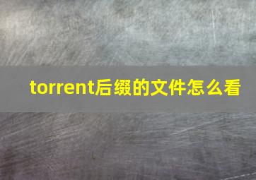 torrent后缀的文件怎么看