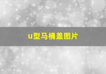 u型马桶盖图片