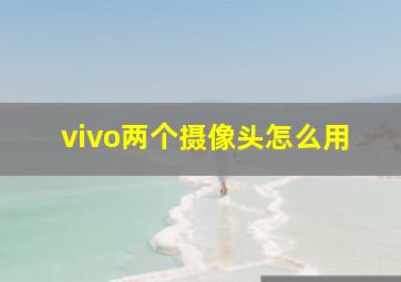 vivo两个摄像头怎么用