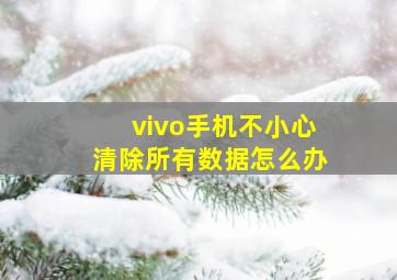 vivo手机不小心清除所有数据怎么办