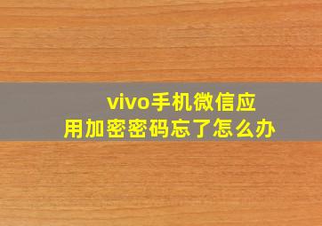 vivo手机微信应用加密密码忘了怎么办