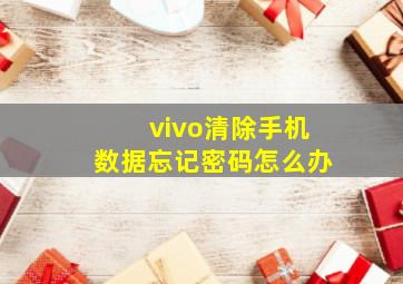 vivo清除手机数据忘记密码怎么办