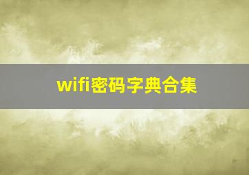 wifi密码字典合集