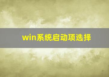 win系统启动项选择