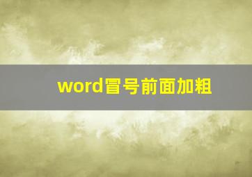 word冒号前面加粗