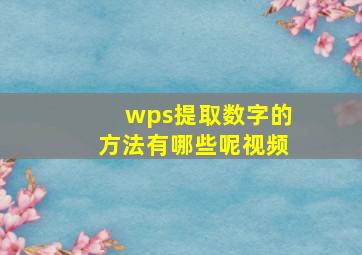 wps提取数字的方法有哪些呢视频