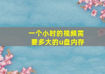 一个小时的视频需要多大的u盘内存